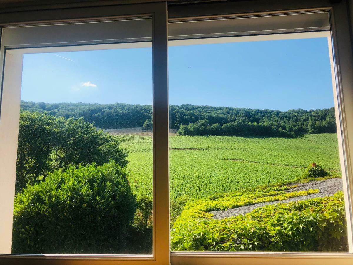 Villa De La Roseraie Rully  Zewnętrze zdjęcie