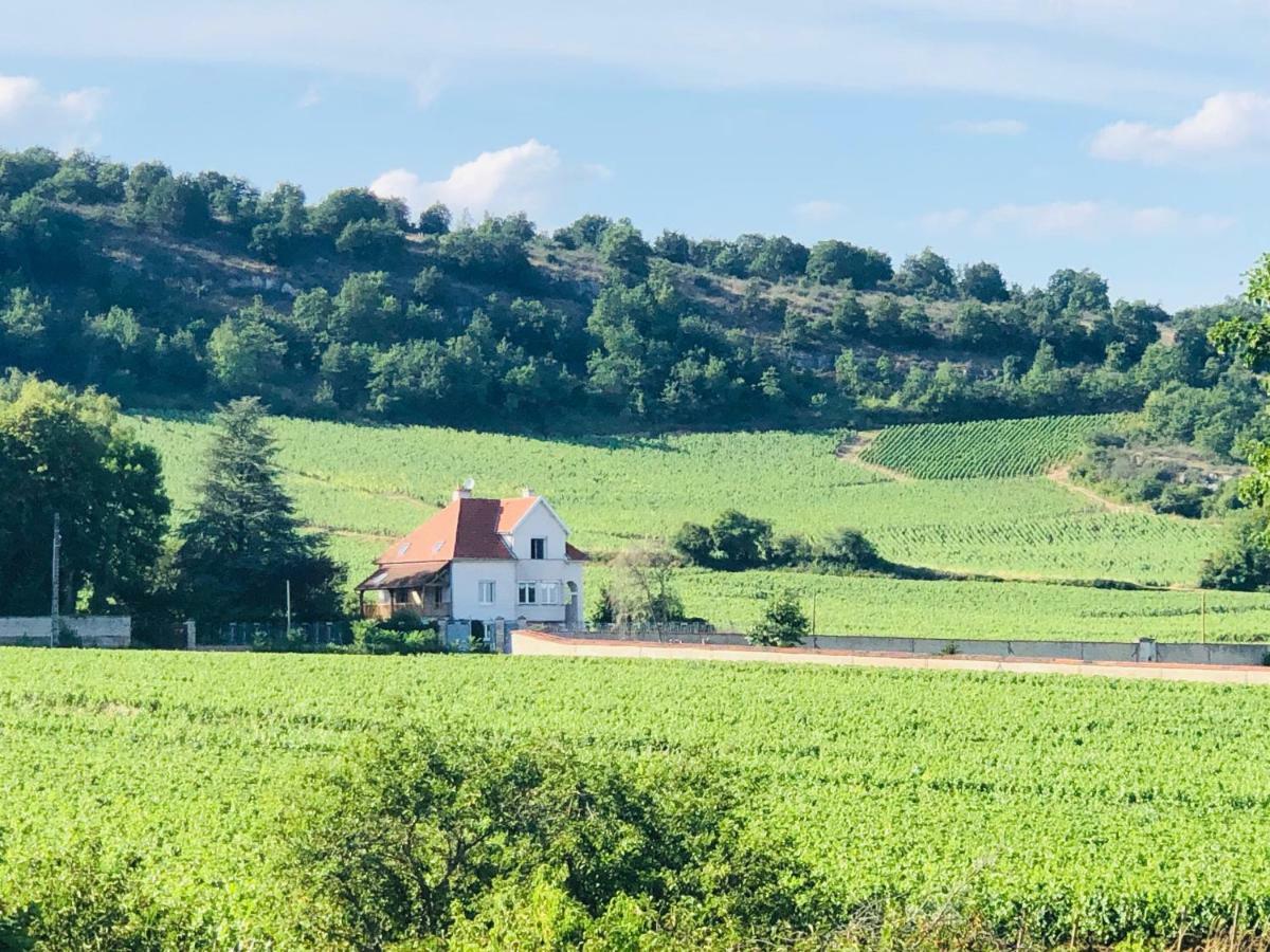 Villa De La Roseraie Rully  Zewnętrze zdjęcie